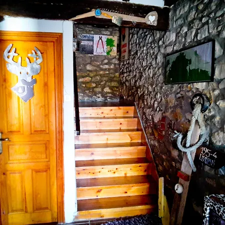 Hostel Surftolive House *