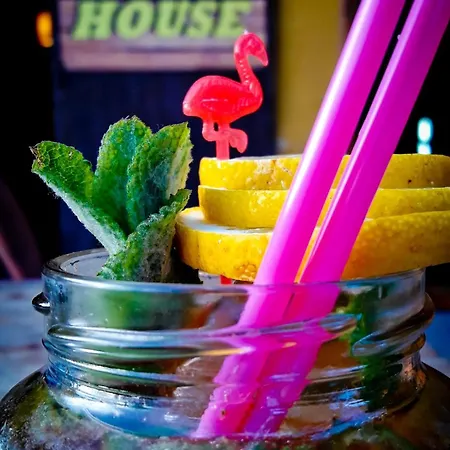 Surftolive House Hostal