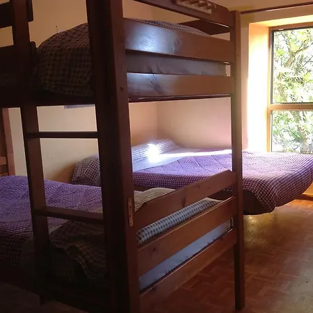 Surftolive House