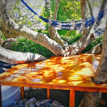 Surftolive House Hostel Somo