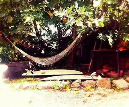 Hostel Surftolive House