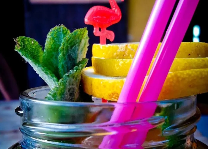 Surftolive House Vandrarhem