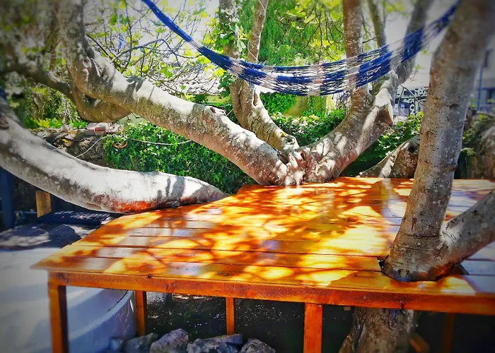 Surftolive House Хостел Сомо