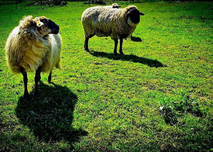 Surftolive House Хостел *