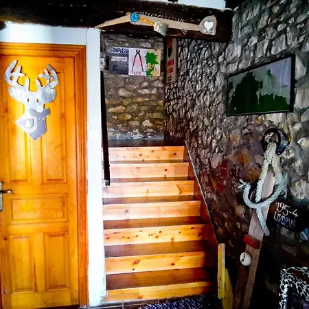 Surftolive House *