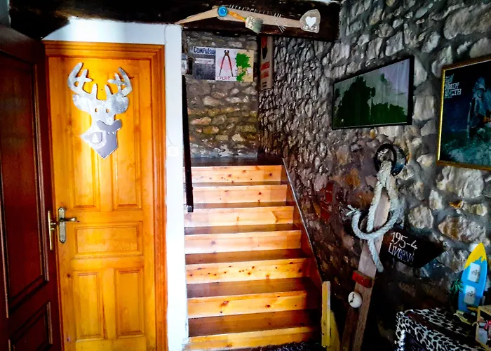 Hostel Surftolive House *