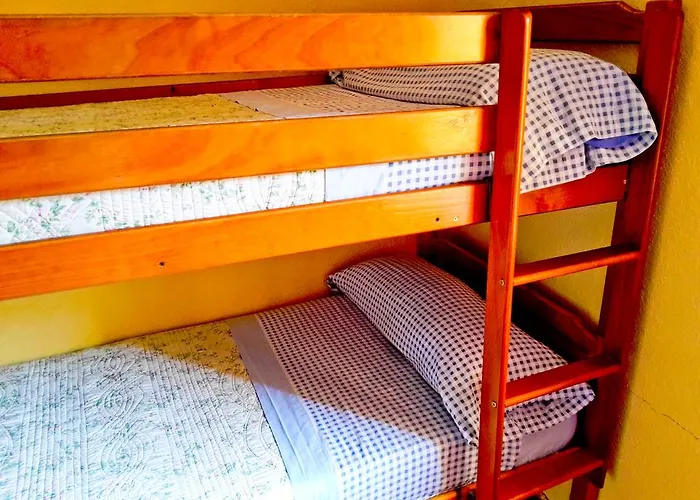 Surftolive House Hostel *