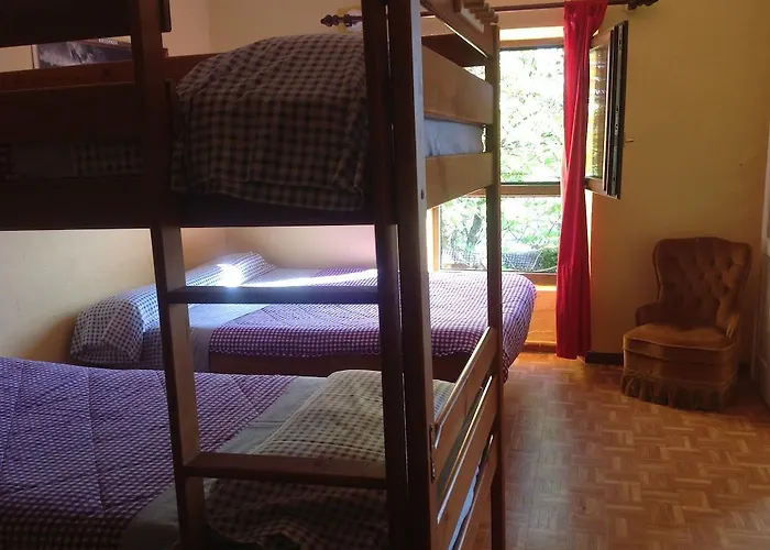 Surftolive House Hostel